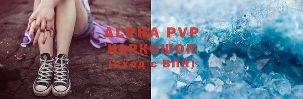 стаф Новосибирск